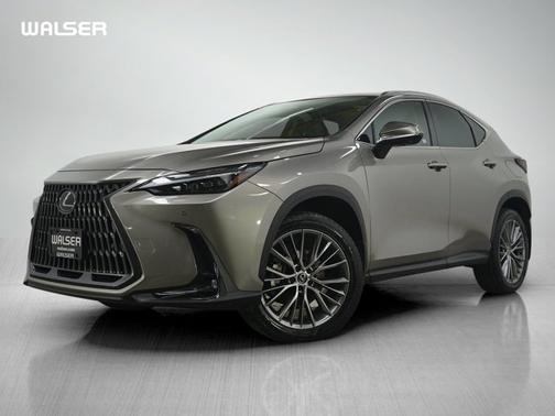2024 Lexus NX 350 Luxury