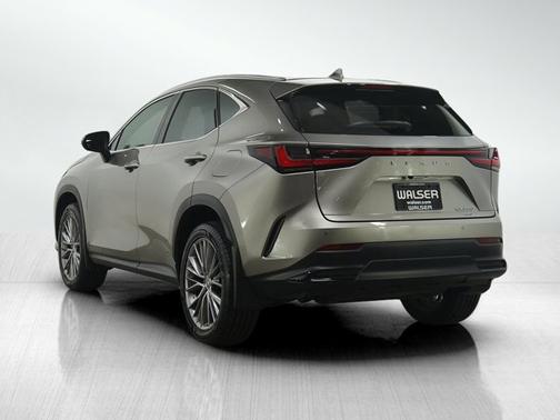 2024 Lexus NX 350 Luxury