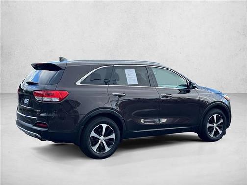 Polished Walnut 2017 Kia Sorento EX