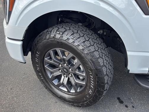 Avalanche 2023 Ford F-150 Tremor