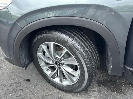 Rainforest 2020 Hyundai SANTA FE Limited 2.4