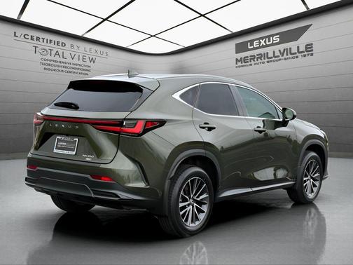 Nori Green Pearl 2024 Lexus NX 350 Base