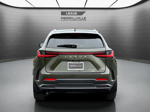 Nori Green Pearl 2024 Lexus NX 350 Base