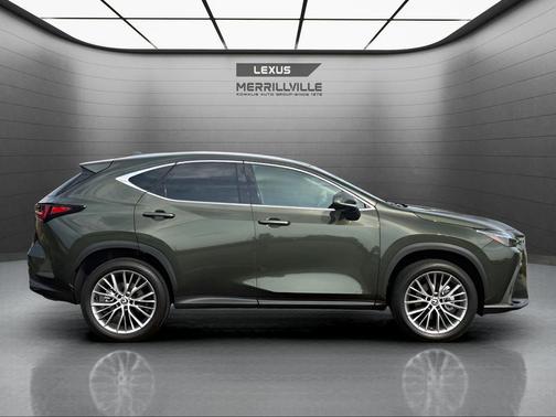 Nori Green Pearl 2025 Lexus NX 350h Luxury