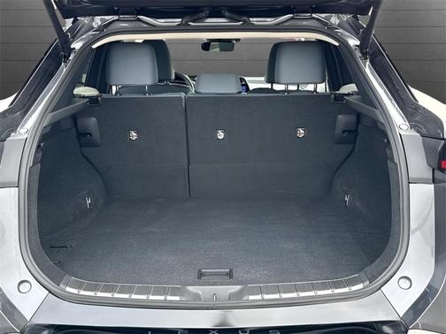 2023 Lexus RZ 450e Premium