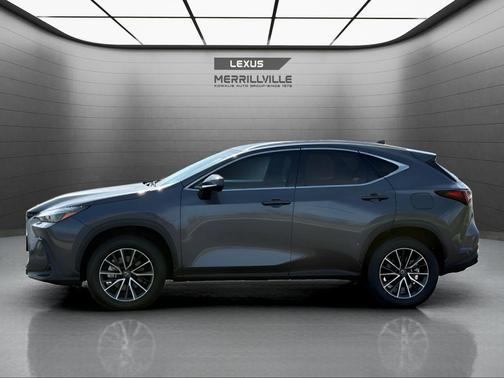 Cloudburst Gray 2024 Lexus NX 350h Base