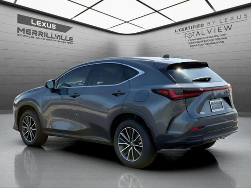 Cloudburst Gray 2024 Lexus NX 350h Base