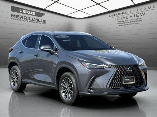 Cloudburst Gray 2024 Lexus NX 350h Base