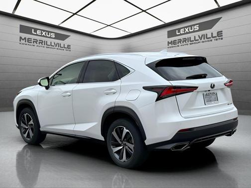 Eminent White Pearl 2019 Lexus NX 300 300