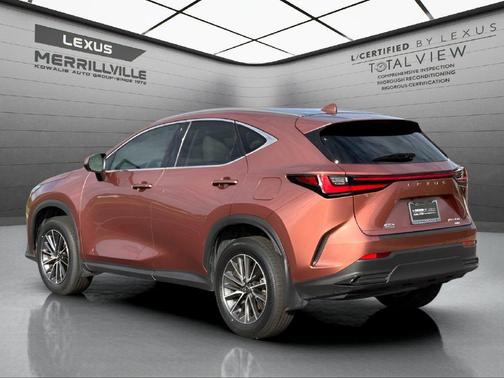 Copper 2025 Lexus NX 350 Luxury