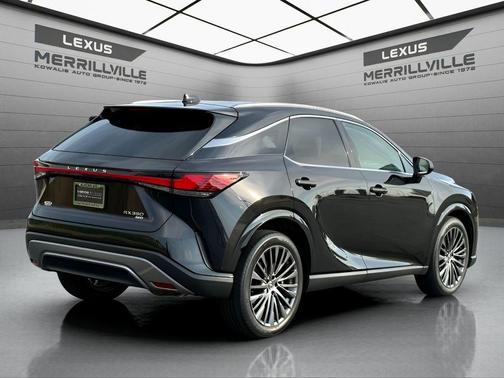 2023 Lexus RX 350 Luxury
