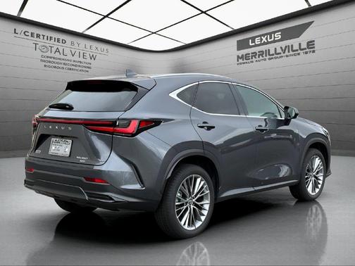 Cloudburst Gray 2026 Lexus NX 350 Premium