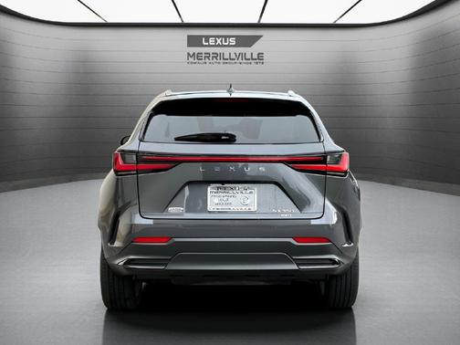 Cloudburst Gray 2026 Lexus NX 350 Premium