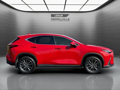 Red Line 2025 Lexus NX 350h Luxury