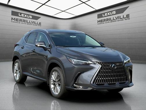 Cloudburst Gray 2026 Lexus NX 350h Premium