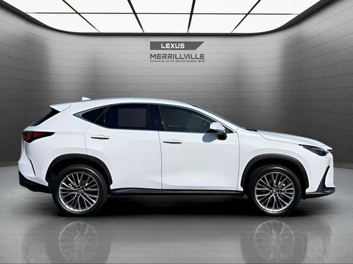 Ultra White 2026 Lexus NX 350h Luxury