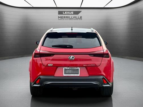 Cloudburst Gray 2023 Lexus UX 250h F SPORT Design