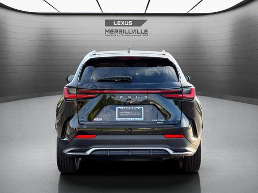 Obsidian Black 2024 Lexus NX 350 F SPORT Handling