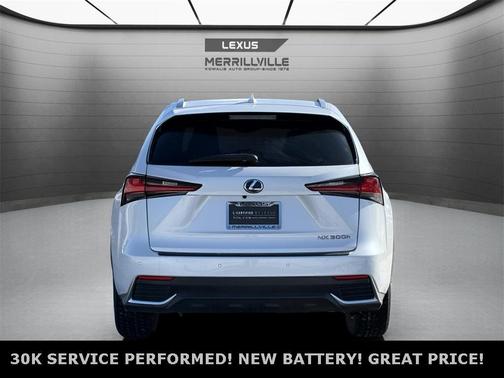 2020 Lexus NX 300h Base