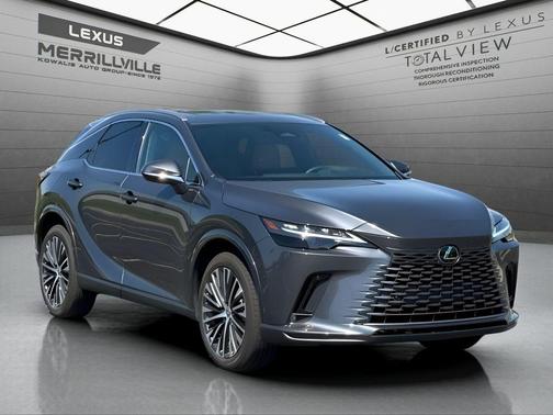 Cloudburst Gray 2024 Lexus RX 350 Premium Plus