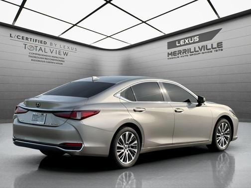 Atomic Silver 2021 Lexus ES 250 250