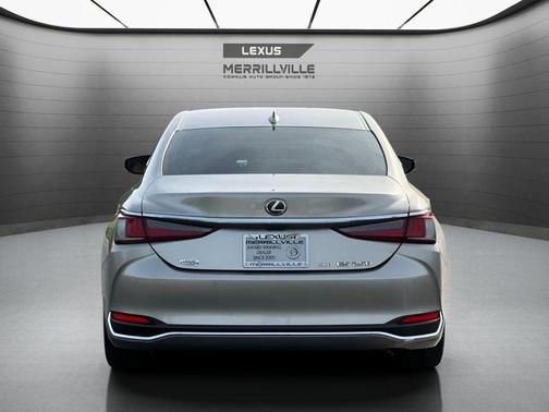 Atomic Silver 2021 Lexus ES 250 250