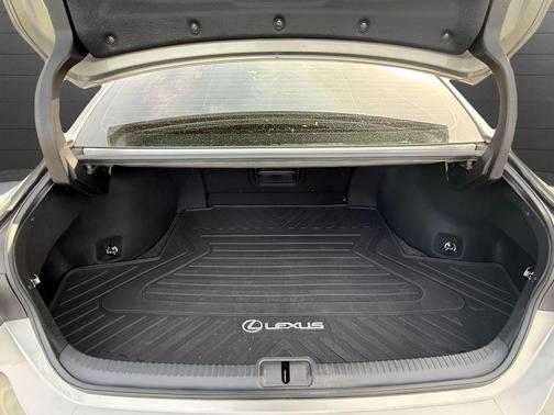 Atomic Silver 2021 Lexus ES 250 250