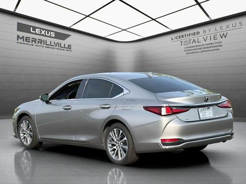 Atomic Silver 2021 Lexus ES 250 250