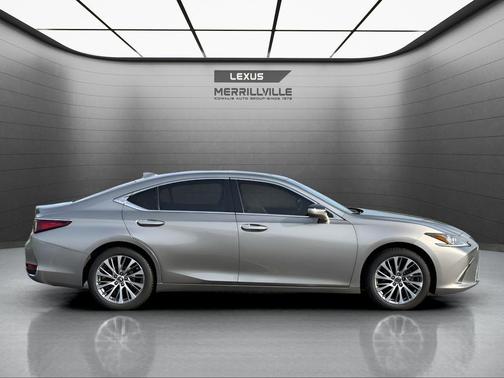 Atomic Silver 2021 Lexus ES 250 250