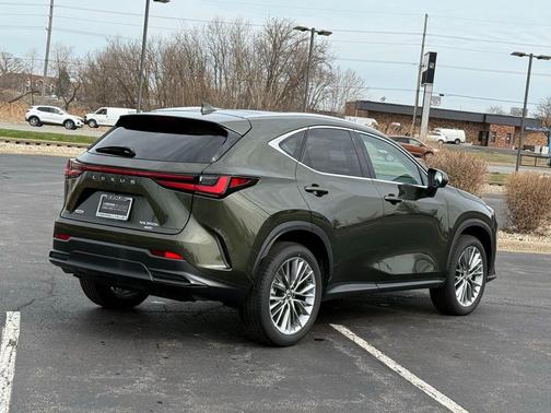 2025 Lexus NX 350h Luxury