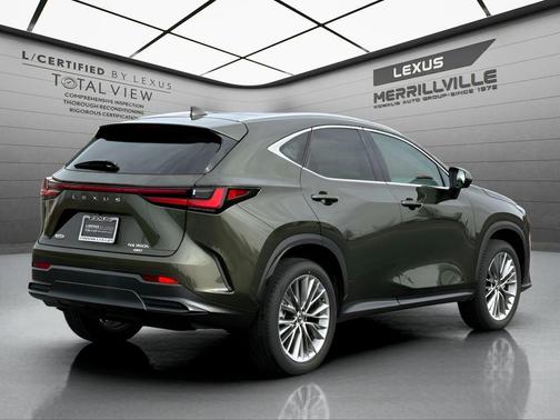 2025 Lexus NX 350h Luxury