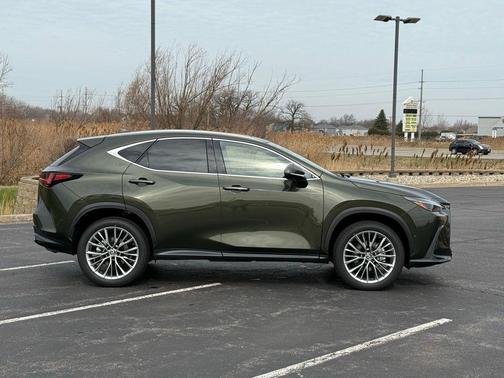 2025 Lexus NX 350h Luxury