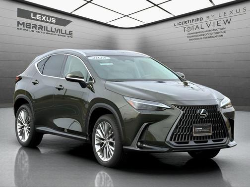 2025 Lexus NX 350h Luxury