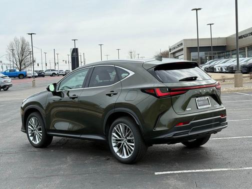 2025 Lexus NX 350h Luxury