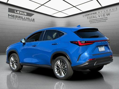 Grecian Water 2025 Lexus NX 350 Luxury