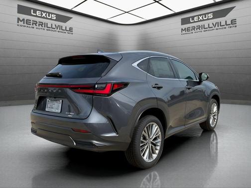 Cloudburst Gray 2026 Lexus NX 350 Luxury