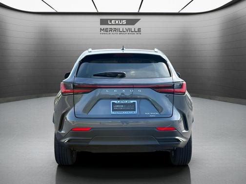 Cloudburst Gray 2024 Lexus NX 350h Luxury