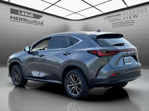 Cloudburst Gray 2024 Lexus NX 350h Luxury