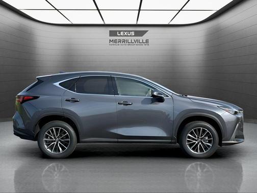 Cloudburst Gray 2024 Lexus NX 350h Luxury