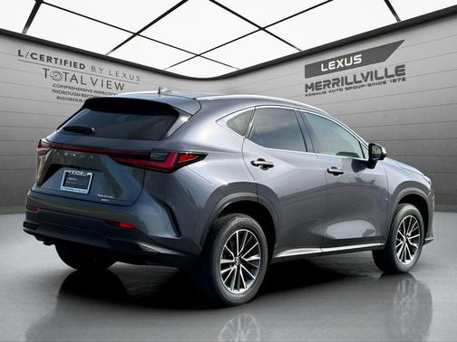 Cloudburst Gray 2024 Lexus NX 350h Luxury