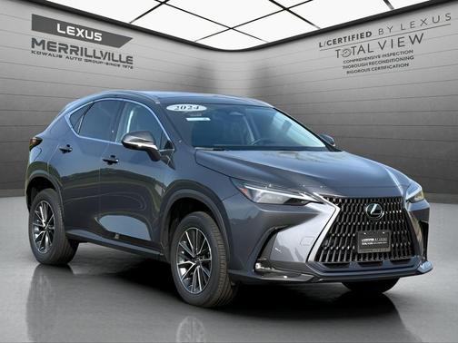 Cloudburst Gray 2024 Lexus NX 350h Luxury