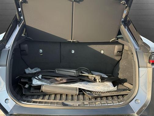 Cloudburst Gray 2024 Lexus RZ 450e Premium