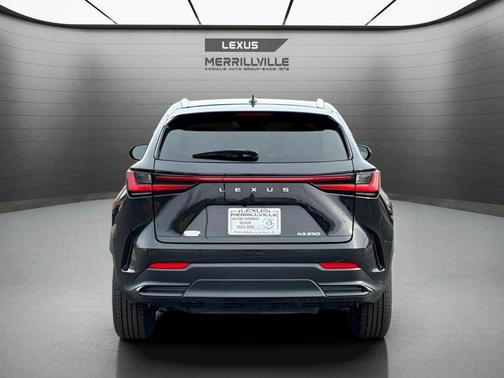2022 Lexus NX 250 Base