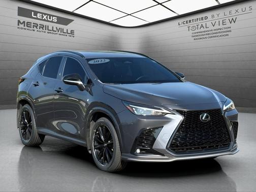 Cloudburst Gray 2022 Lexus NX 350 F SPORT Handling