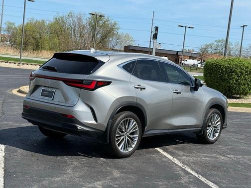 2023 Lexus NX 350h Luxury