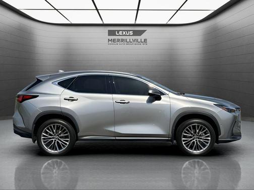Atomic Silver 2023 Lexus NX 350h Luxury