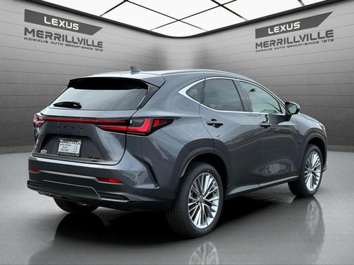Cloudburst Gray 2026 Lexus NX 350 Premium