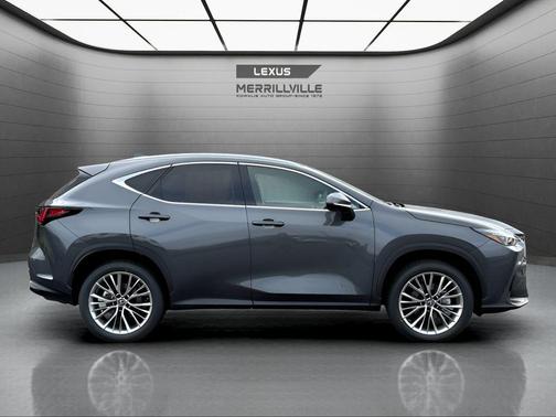 Cloudburst Gray 2026 Lexus NX 350 Premium