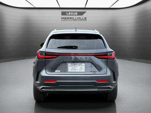 Cloudburst Gray 2026 Lexus NX 350 Premium