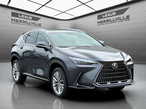 Cloudburst Gray 2026 Lexus NX 350 Premium